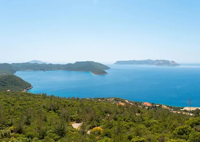 Проживание в семье Golden Rose